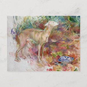 Cartão Postal Laerte the Greyhound, 1894