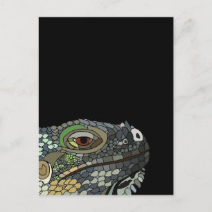 Cartão Postal Lagarto Iguana Animal Iguana