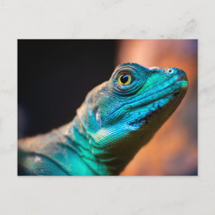 Cartão Postal Lagarto verde