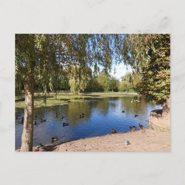 Cartão Postal lago (Frente)