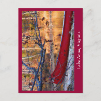 Cartão Postal Lago Anna Virginia