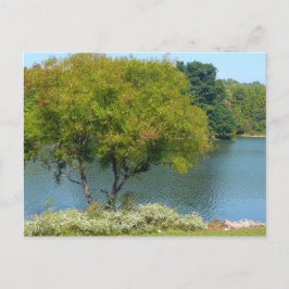 Cartão Postal Lago Centenário em Ellicott, Maryland