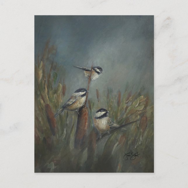 Cartão Postal Lago Chickadee (Frente)