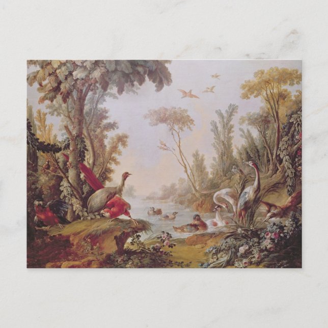 Cartão Postal Lago com gansos, cegos, papagaios e herões (Frente)