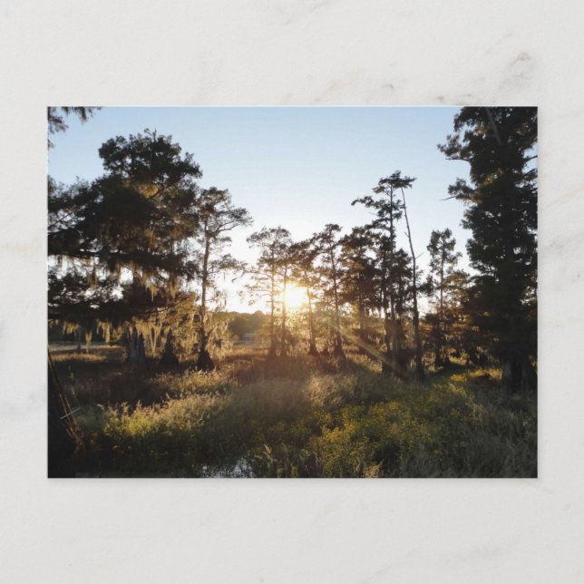 Cartão Postal Lago Cypress (Frente)