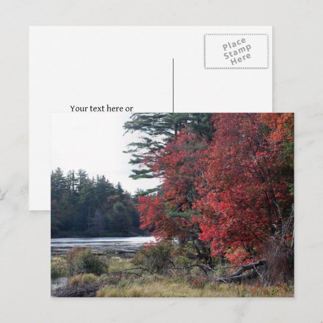 Cartão Postal Lago de Folhas de Outono Fotografia da Natureza  (Frente/Verso)