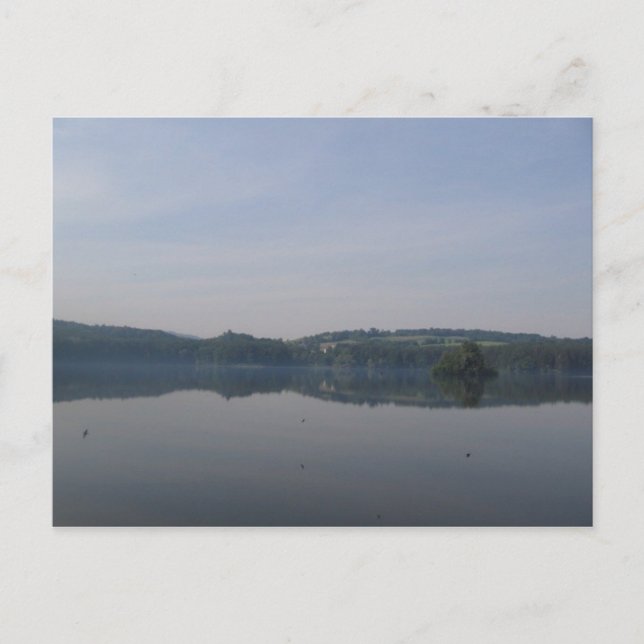 Cartão Postal lago de pássaro (Frente)