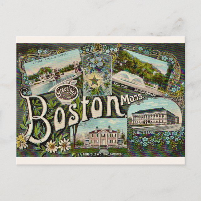 Cartão Postal Lago Frog Vintage Boston  (Frente)