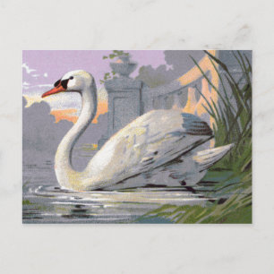 Cartão Postal Lago Lugano Swan