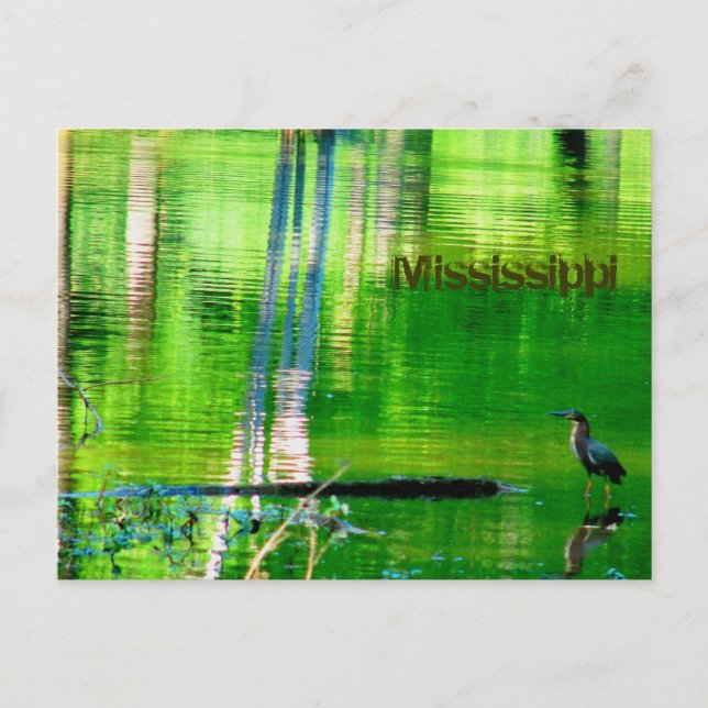 Cartão Postal Lago Mississippi (Frente)