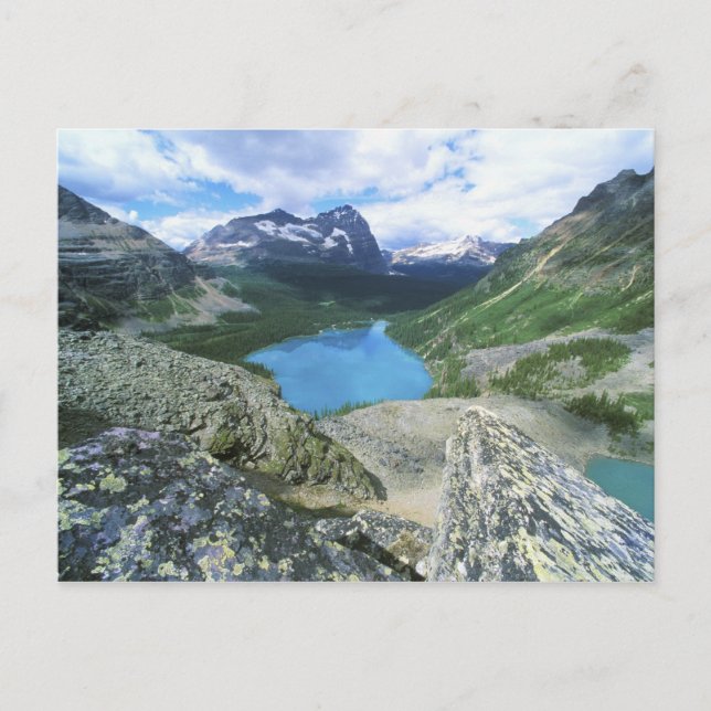 Cartão Postal Lago O'Hara, Yoho NP, BC, Canadá (Frente)