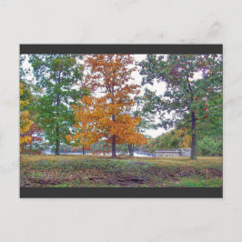 Cartão Postal Lago Scranton Postcard Scranton PA-Outono