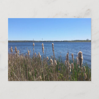 Cartão Postal Lago Simcoe