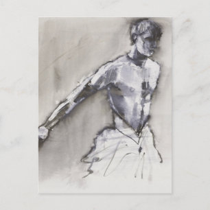 Cartão Postal Lago Swan 2001