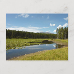 Cartão Postal Lago Swan I no Parque Nacional Grand Teton