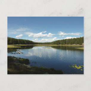 Cartão Postal Lago Swan II no Parque Nacional Grand Teton