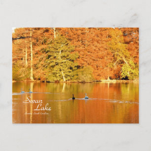 Cartão Postal Lago Swan, Sumter SC