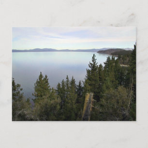 Cartão Postal Lago Tahoe com pinheiros