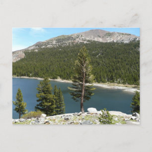 Cartão Postal Lago Tenaya no Parque Nacional de Yosemite