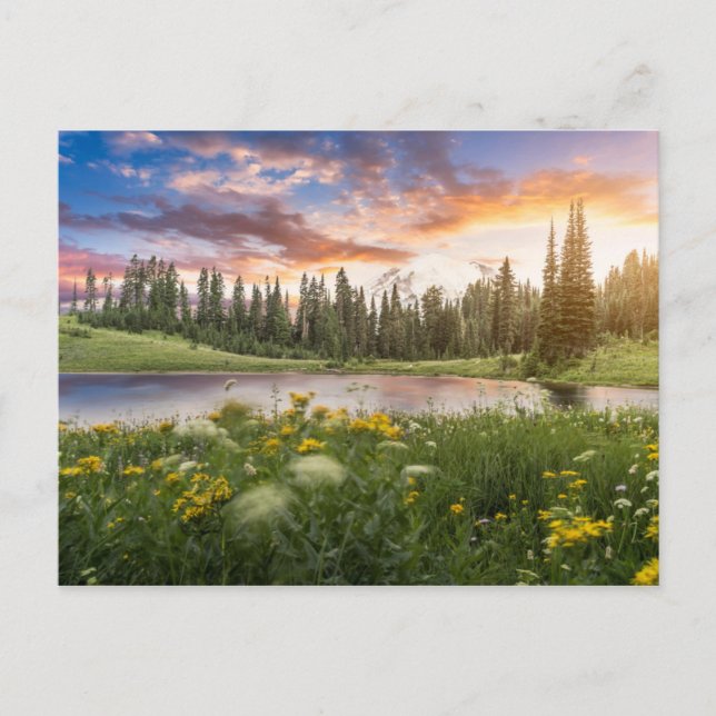 Cartão Postal Lago Tipsoo Mt.Rainier (Frente)