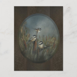 Cartão Postal Lagoa Chickadee