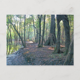 Cartão Postal Lagoa do rio Suwannee