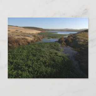 Cartão Postal Lagoa I de Abbotts na costa nacional de Point Reye