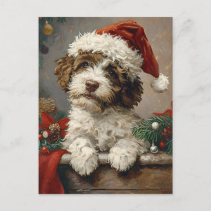 Cartão Postal Lagotto Romagnolo Natal