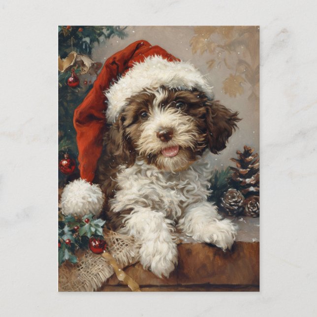 Cartão Postal Lagotto Romagnolo Natal (Frente)