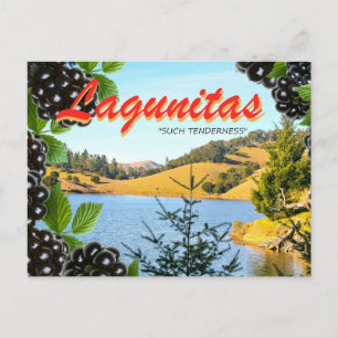 Cartão Postal Lagunitas, "Tanta Ternura" (Hass, tomada 2)