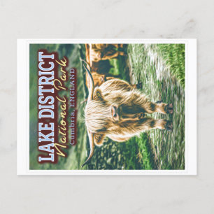 CARTÃO POSTAL LAKE DISTRICT NATIONAL PARK - CUMBRIA ENGLAND