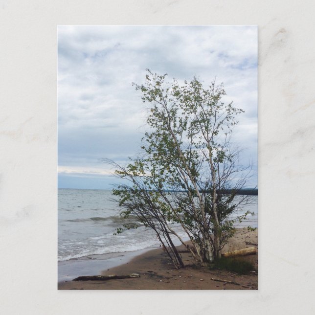 Cartão postal Lake Superior (Frente)