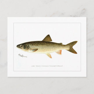 Cartão Postal Lake Trout