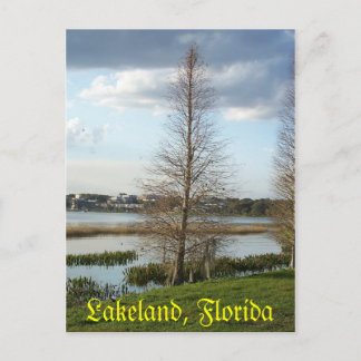 Cartão Postal Lakeland Florida Tree by Lake 008