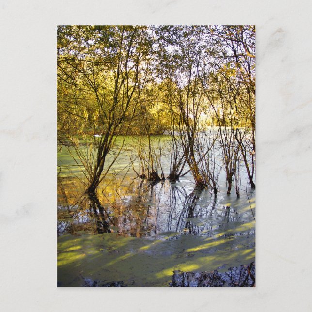 CARTÃO POSTAL LAKES (Frente)