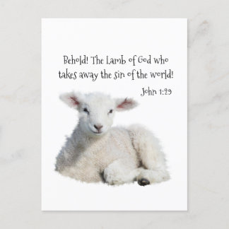 Cartão Postal Lamb de Deus