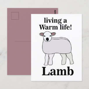 Cartão Postal Lamb Vivendo Uma Lâmpada Quente Engraçada