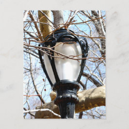 Cartão Postal Lamp Posta Parque Central de Nova Iorque