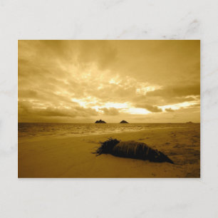 Cartão postal Lanikai Sunrise