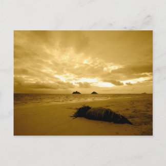 Cartão postal Lanikai Sunrise