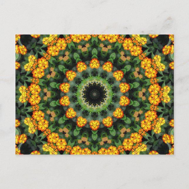 Cartão Postal Lantana Kaleidoscópio 2, uma bela laranja e amarel (Frente)
