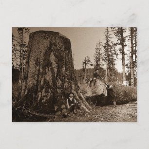 Cartão Postal Lanterna Mágica 1903 Lintage Lumberjacks