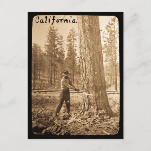 Cartão Postal Lanterna Mágica no Vale do Butte, CA