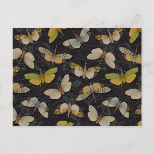 Cartão Postal Lanternófilos - Píropos Candelaria e Outros Planth