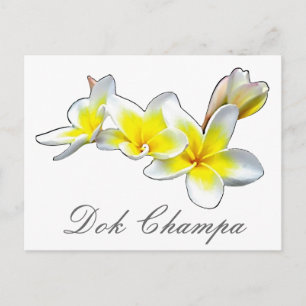CARTÃO POSTAL LAO FLOWER DOK CHAMPA - PLUMERIA RUBRA