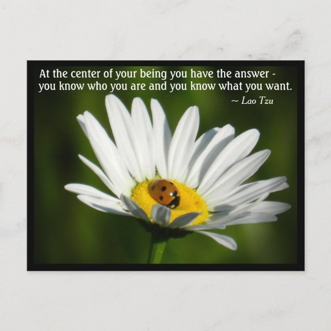 Cartão Postal Lao Tzu Citação Ladybird Daisy Motivação Inspirado (Frente)