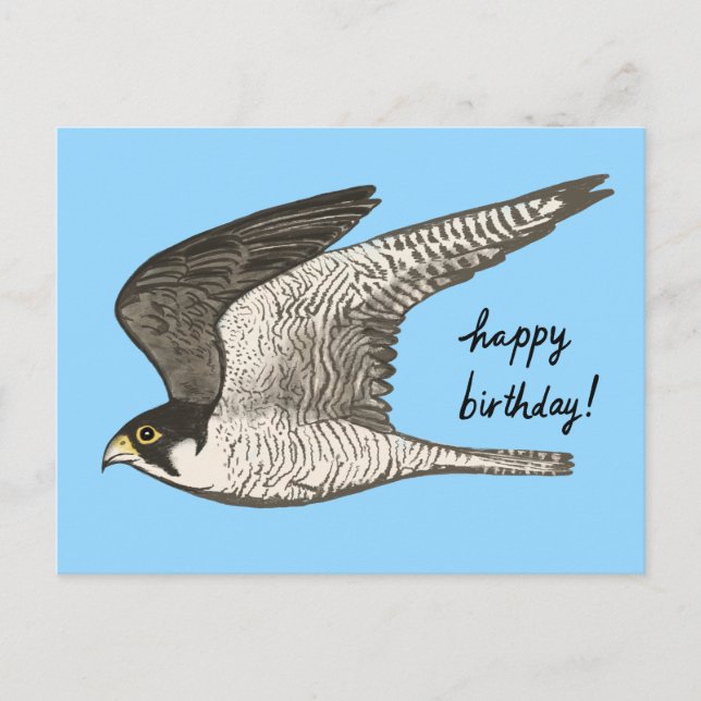 Cartão Postal Lápis de Cor Falcão-peregrino FELIZ ANIVERSÁRIO (Frente)