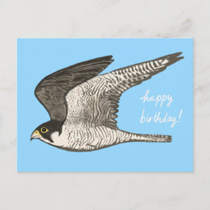 Cartão Postal Lápis de Cor Falcão-peregrino FELIZ ANIVERSÁRIO