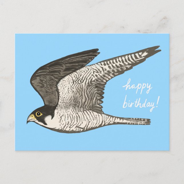 Cartão Postal Lápis de Cor Falcão-peregrino FELIZ ANIVERSÁRIO (Frente)