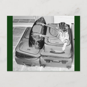 Cartão Postal Lápis de viagem do índigo